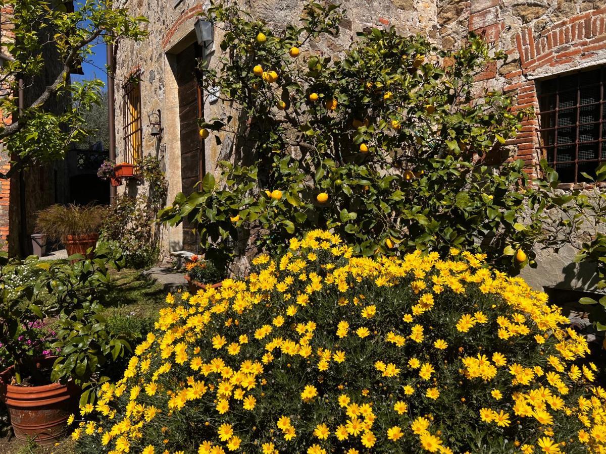 La Casina Dei Frati Vila Lucca Exterior foto